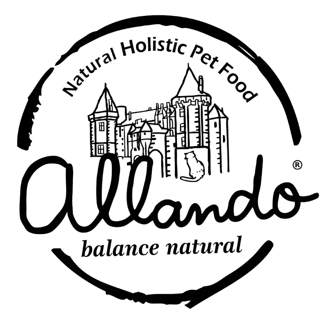 台灣Allando Logo