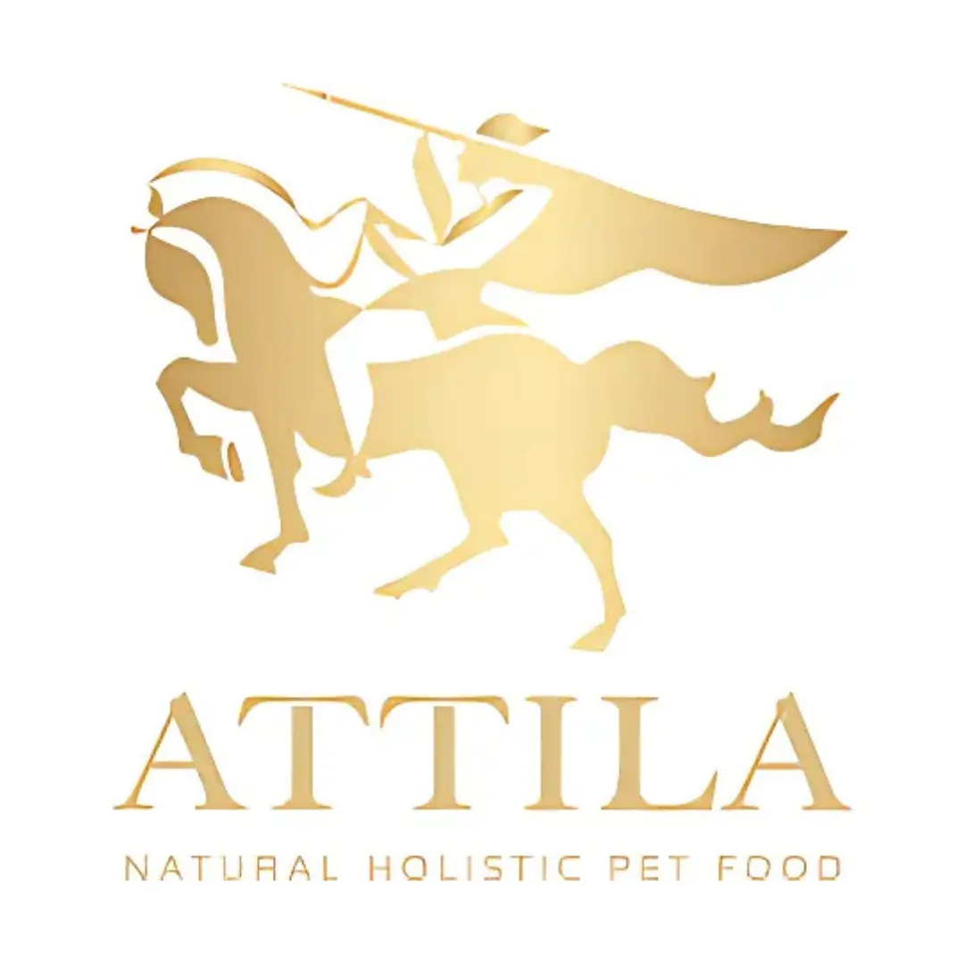 台灣Attila Logo