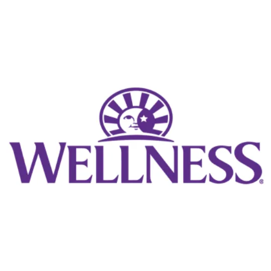 美國Wellness Logo