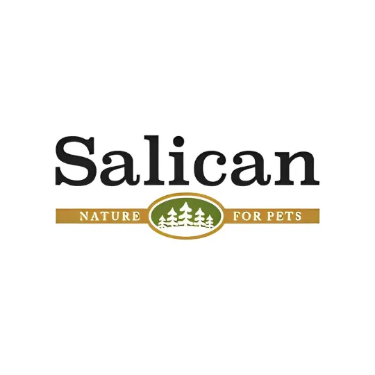 香港Salican Logo