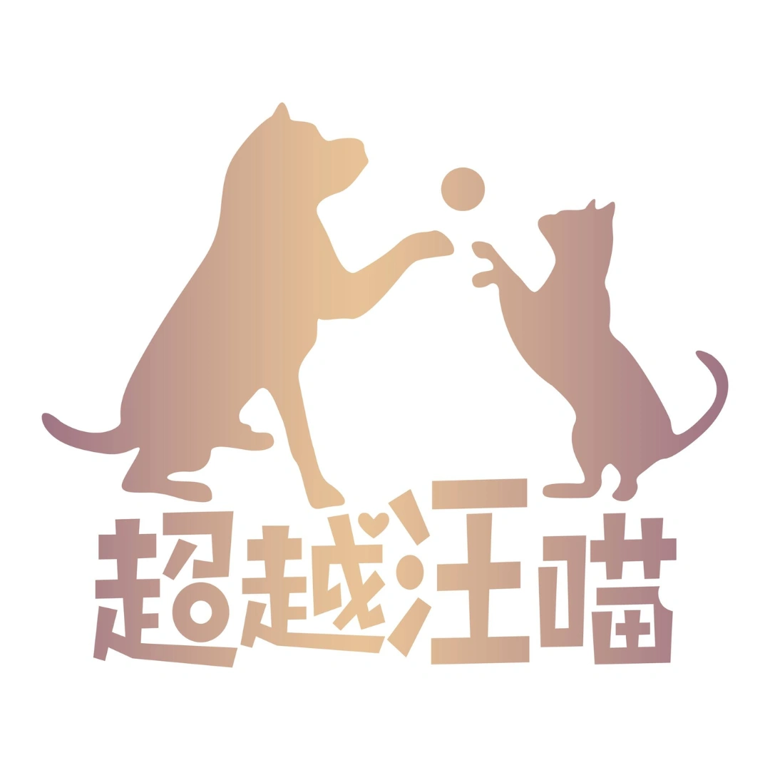 台灣超越汪喵 Logo
